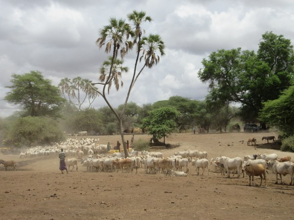 isiolo blog 3.JPG