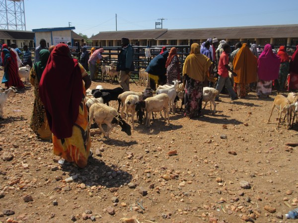isiolo blog 6.JPG
