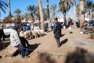 Livestock market