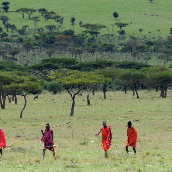 Maasai people walking in a grassland