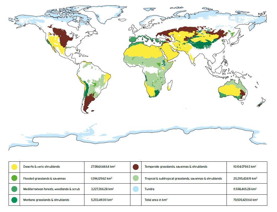 Global map of pastoral systems showing different ecological settings.