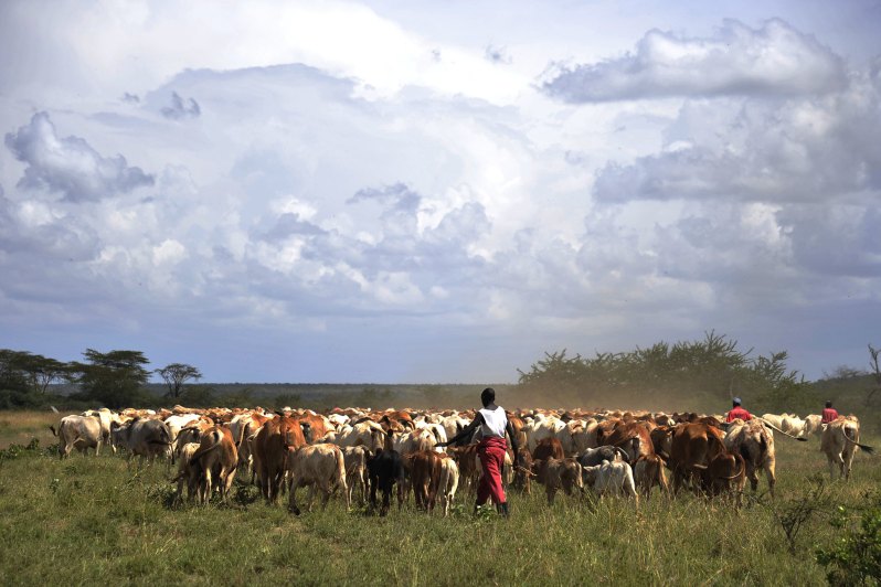 herders in Laikipia